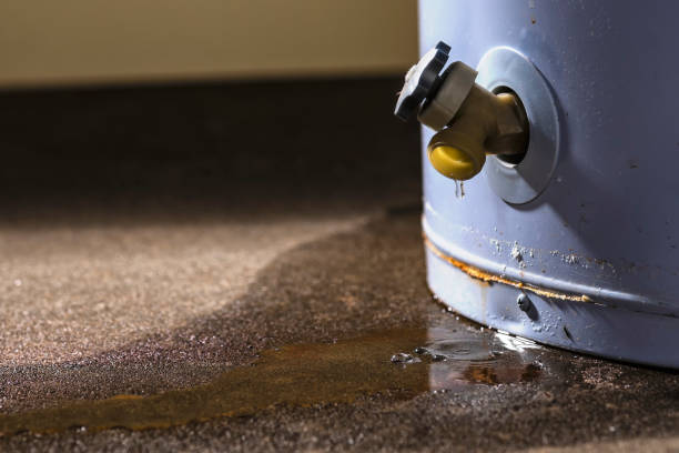 Best Water damage restoration near me  in Oostburg, WI