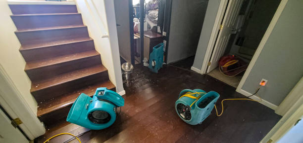 Best Water damage cleanup near me  in Oostburg, WI