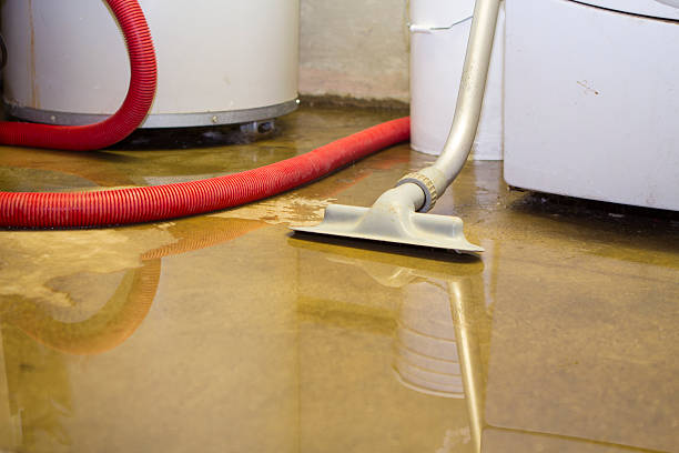 Best 24-hour water damage restoration  in Oostburg, WI