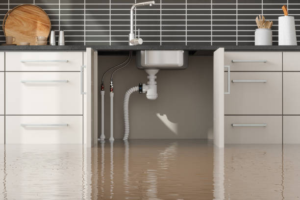 Best Water damage repair service  in Oostburg, WI
