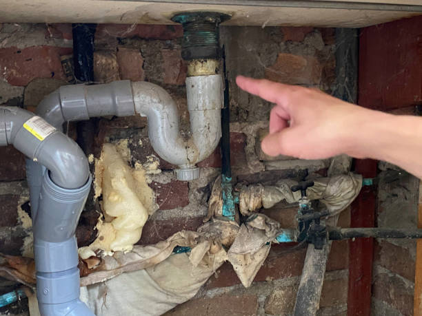Best Flooded house restoration  in Oostburg, WI