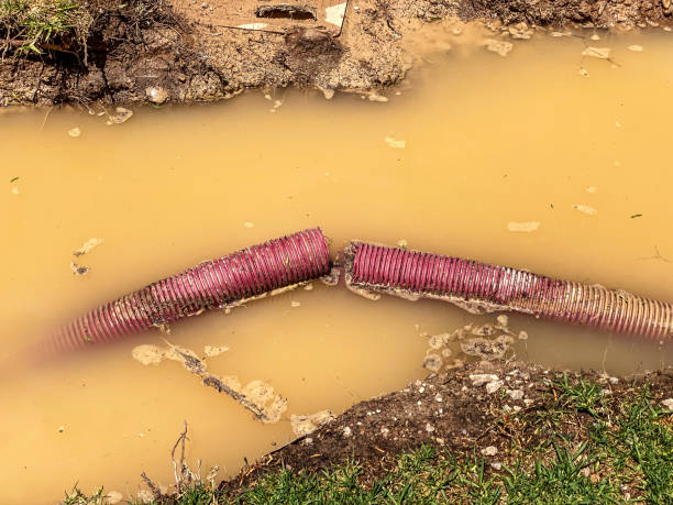 Best Flood restoration services  in Oostburg, WI