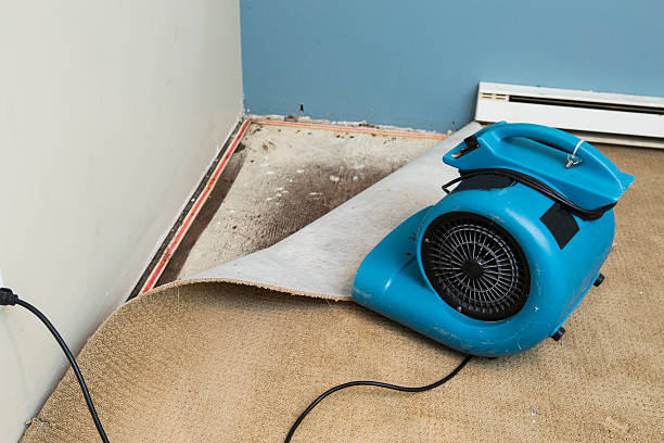 Best Water damage restoration near me  in Oostburg, WI